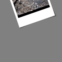 Water Pollution